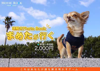 謎解きフォトブック まめたが行く