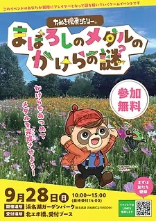 まぼろしのメダルのかけらの謎